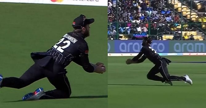 CWC 2023 : केन विलियमसन ने चोट के बावजूद पकड़ा जबरदस्त कैच, ICC ने शेयर किया वीडियो