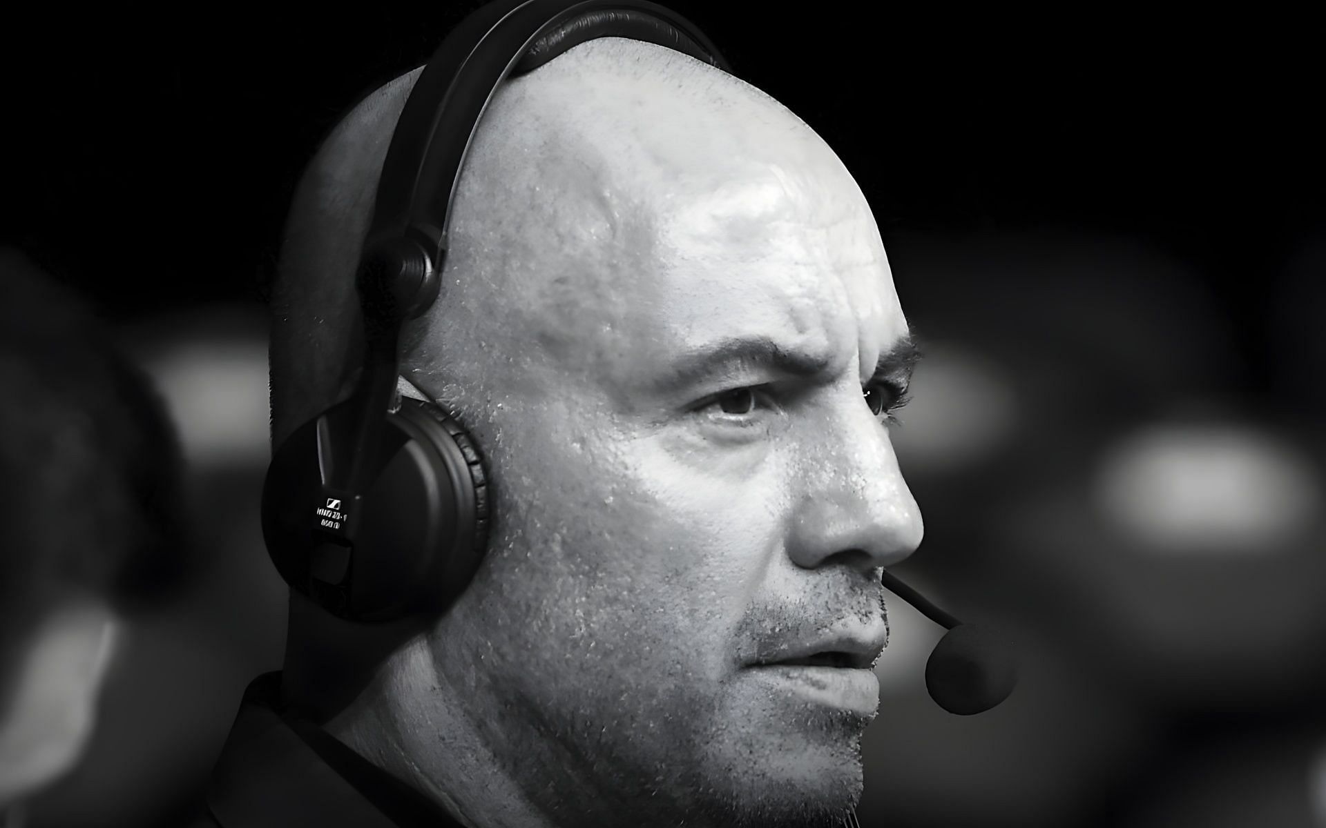 joe