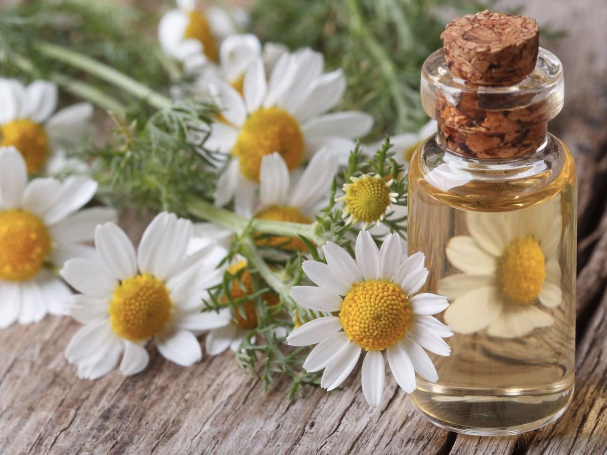 DIY chamomile and jojoba oil (Image via Freepik)