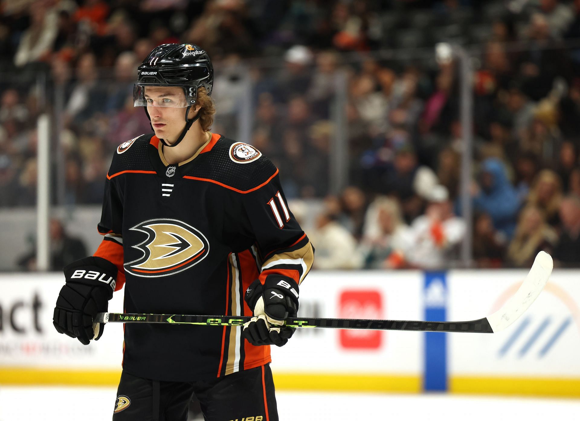 "Waste Of Space": Trevor Zegras' Injury Update By Anaheim Ducks Leaves ...