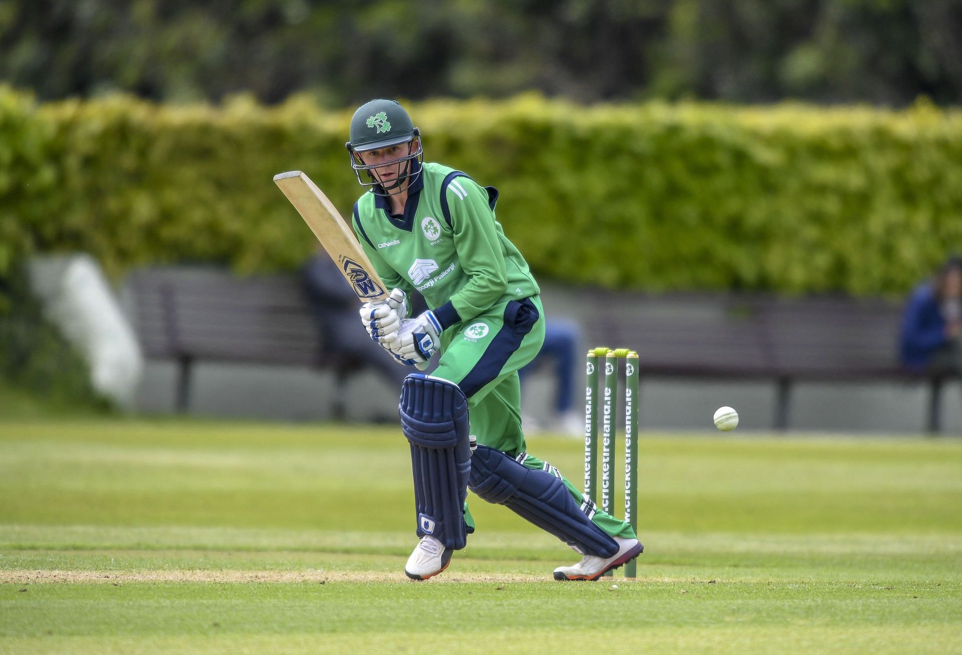 Stephen Doheny in action for Ireland (Image Credits: ICC Cricket World Cup)