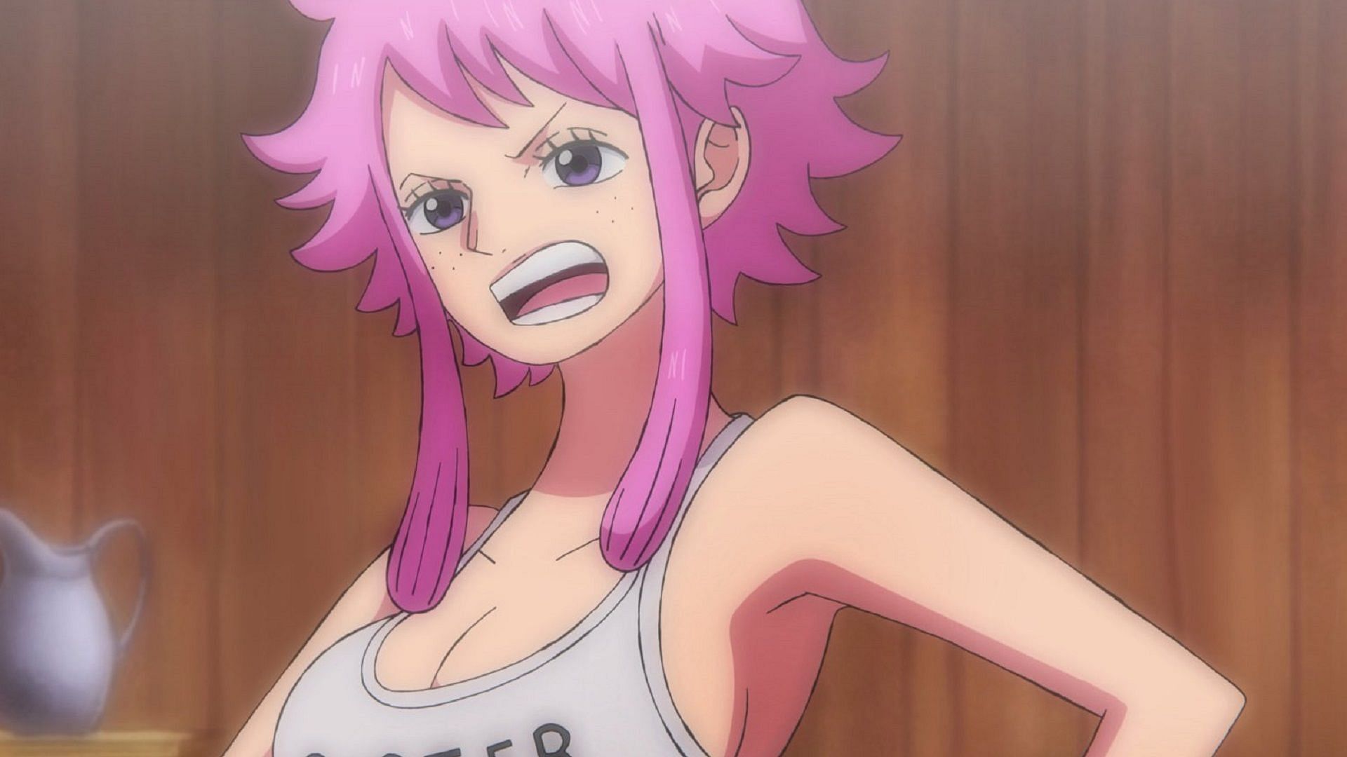 Ginny&#039;s story was disturbing even by One Piece&#039;s standards (Image via Toei Animation, One Piece)