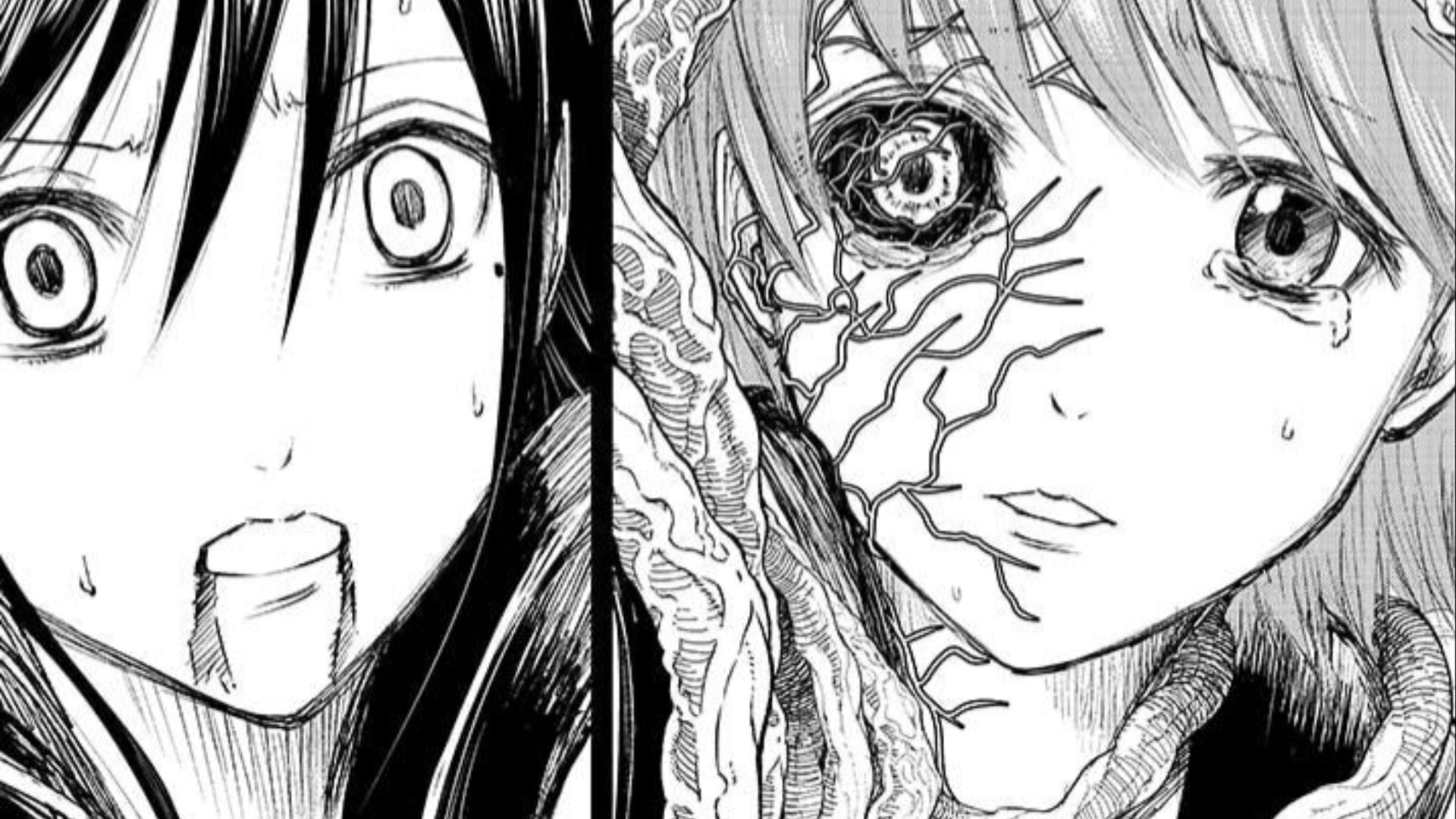 Wild Strawberry Chapter 11: Release Date, Reading Options, and Expectations