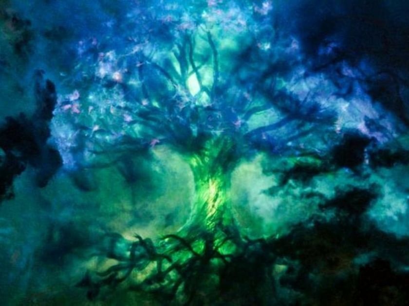 mystical tree is calling｜TikTok Search