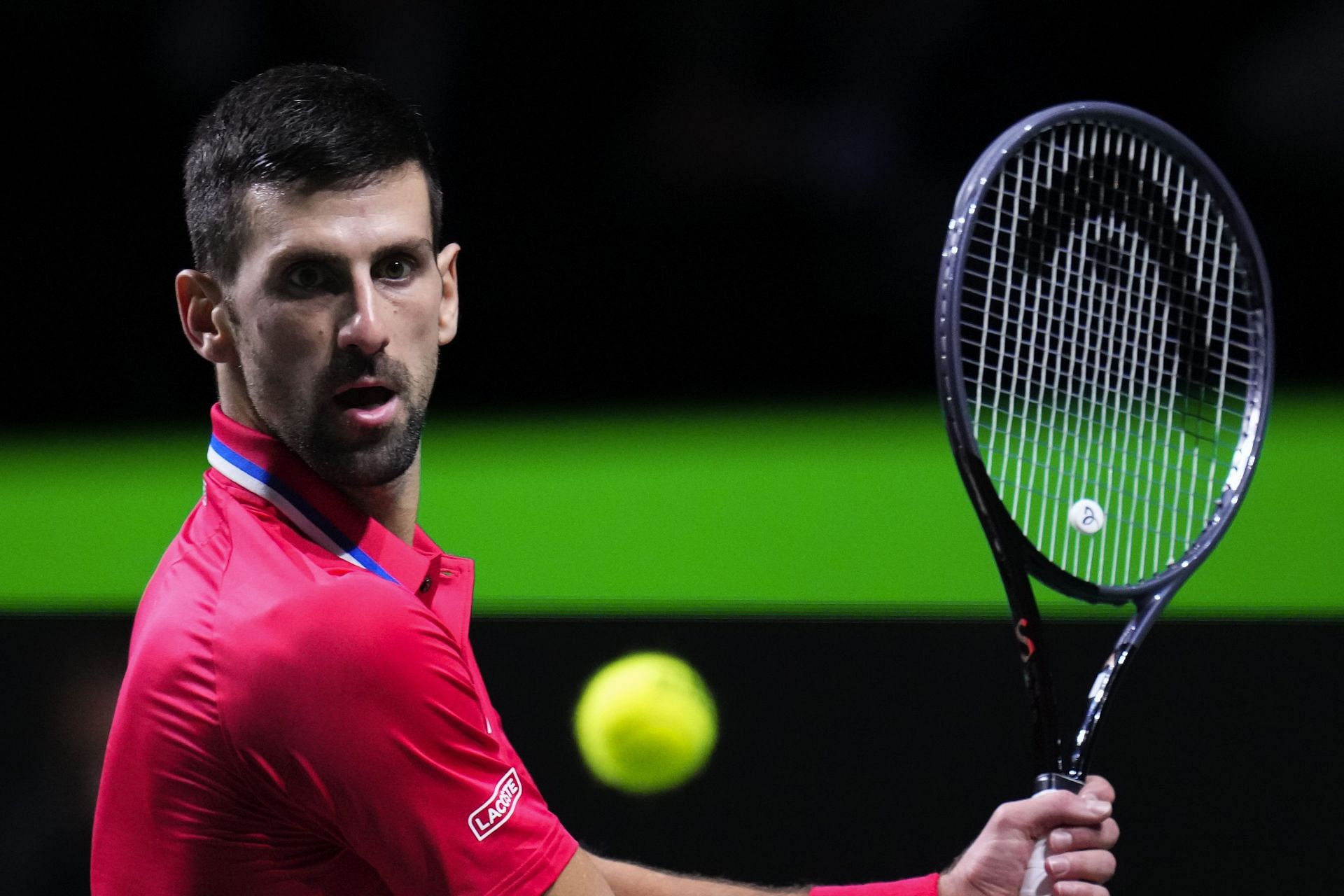 Novak Djokovic at the 2023 Davis Cup.