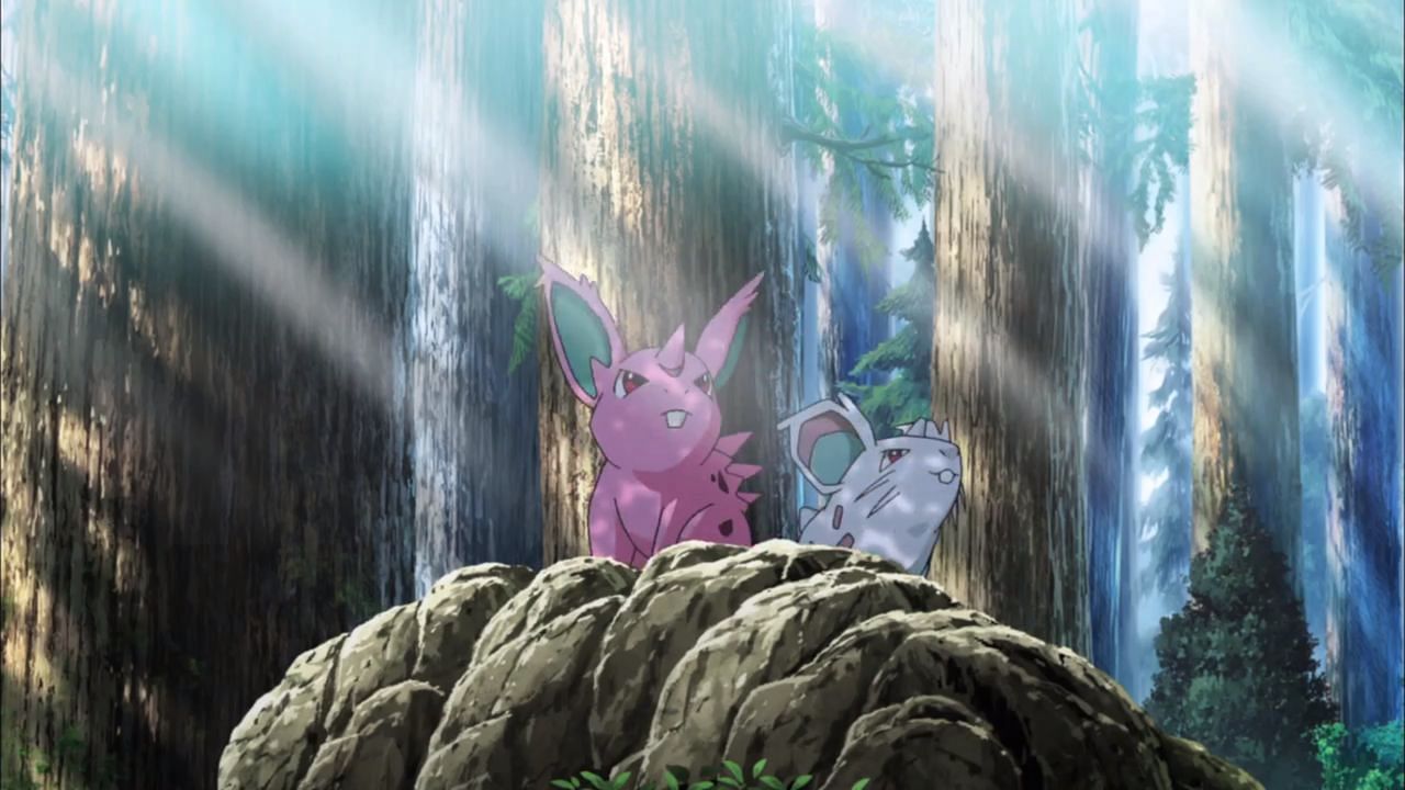 Nidoran as seen in the anime (Image via The Pokemon Company)