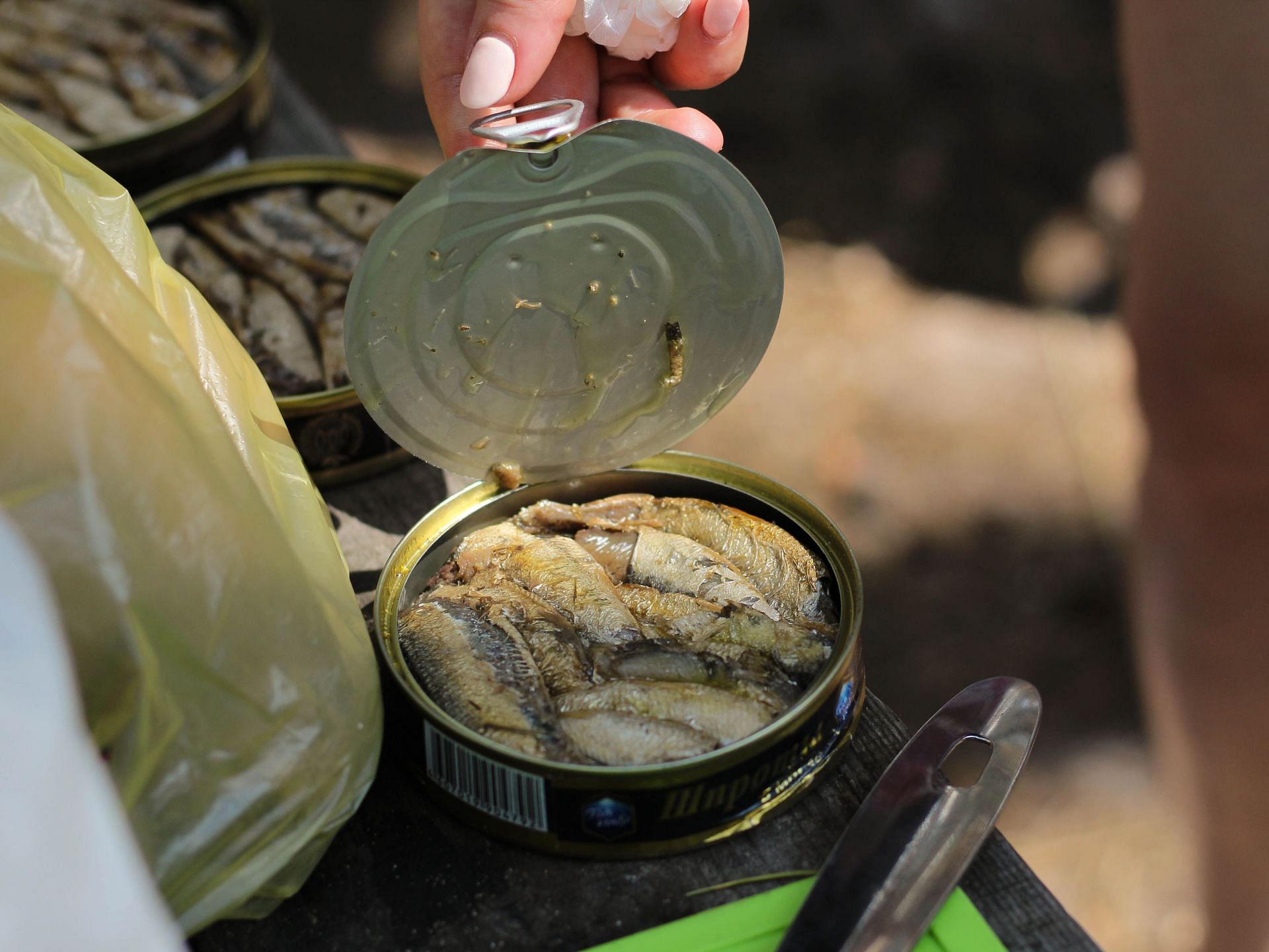 Canned meals have both pros and cons. (Image via Unsplash/ Ignat Kushanrev)