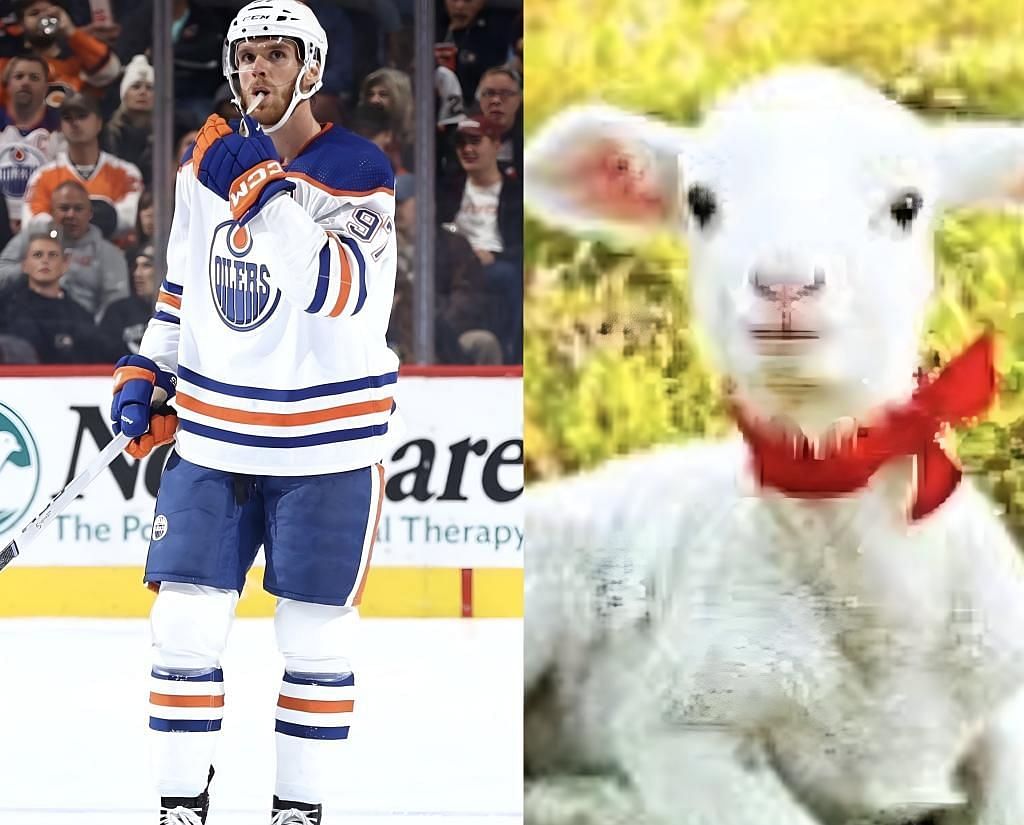 Paul Bissonnette  suggests a lamb sacrifice to turn around Edmonton Oilers
