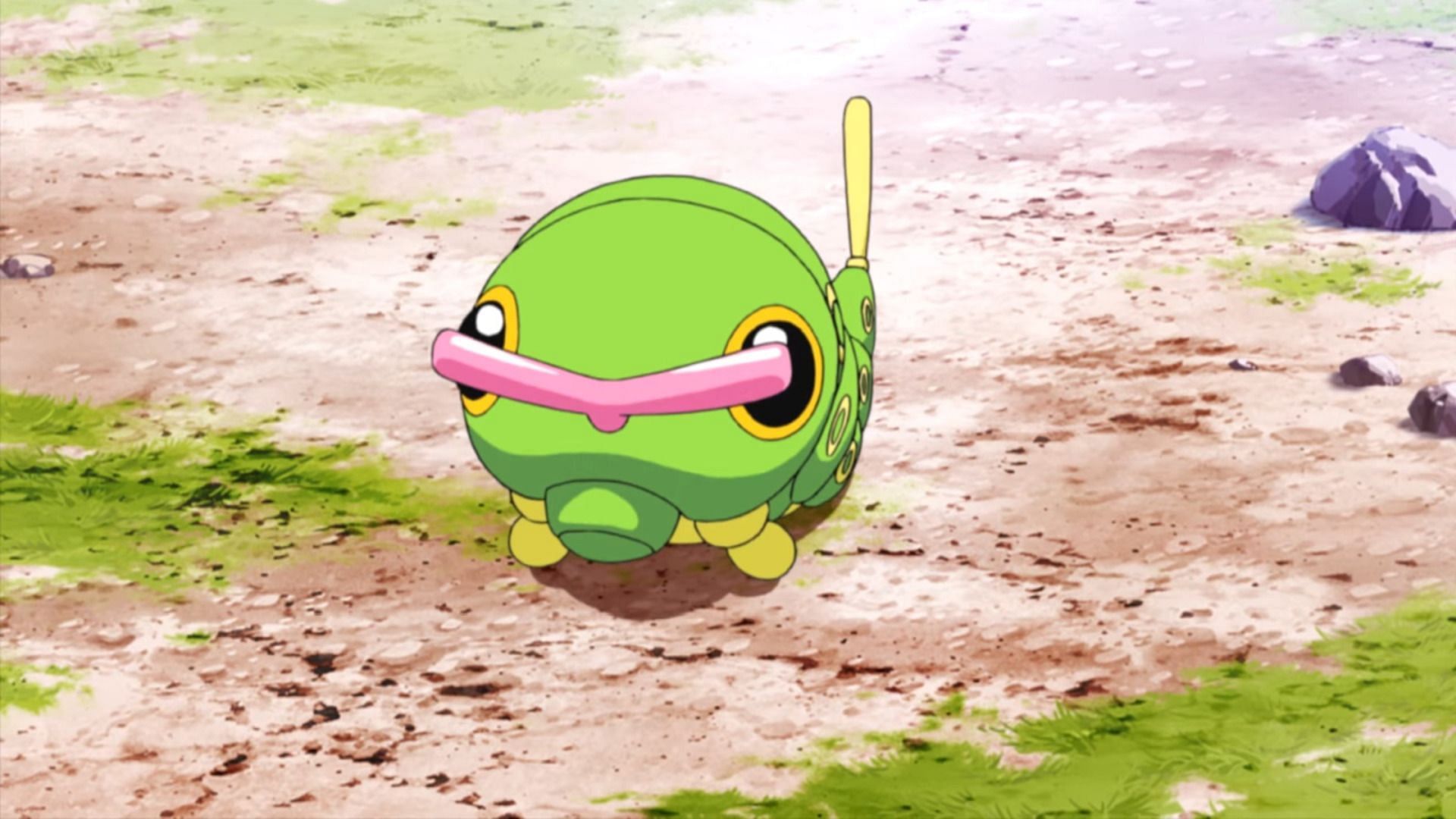 Caterpie as seen in the anime (Image via The Pokemon Company)