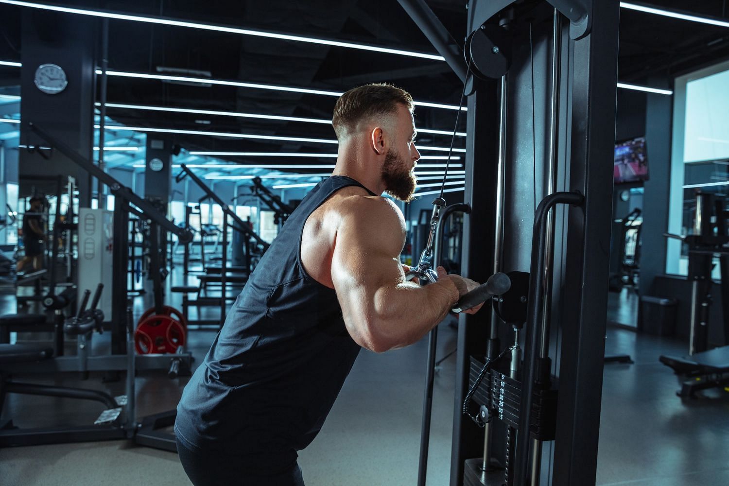 arm workouts for bigger arms: 5 Best Arm Workouts For Bigger Arms