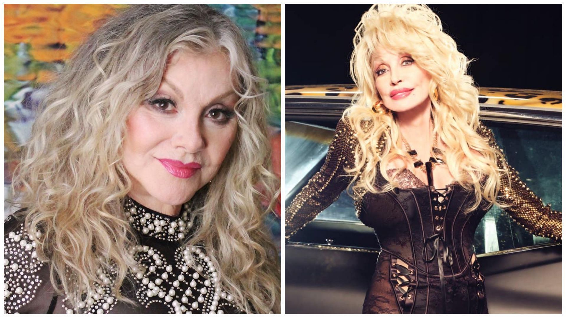 Stella Parton recently supported sister, Dolly Parton (Image via Facebook / Stella Parton / Dolly Parton)