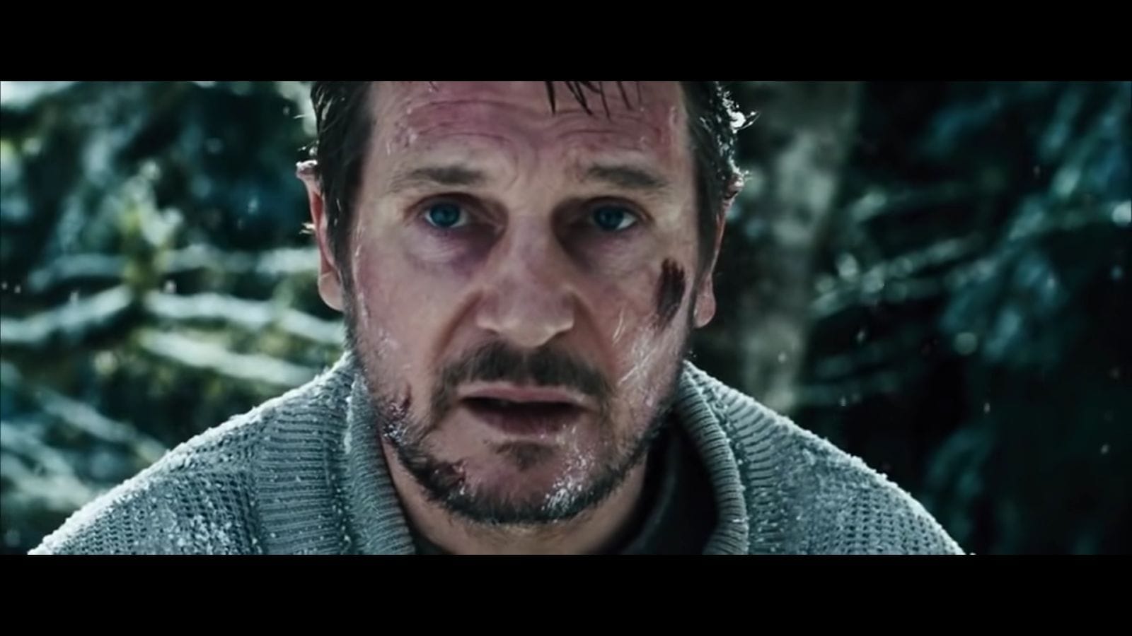 Liam Neeson’s movies in order