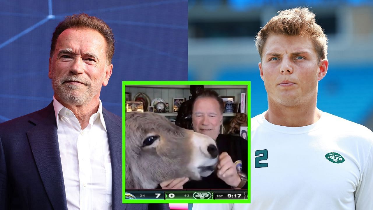 Arnold Schwarzenegger feeding donkey on ManningCast leaves NFL fans stunned