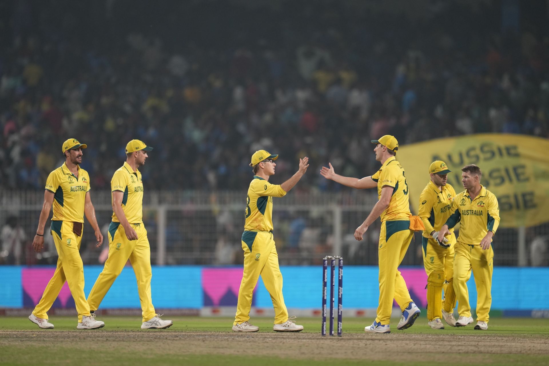 India Cricket WCup