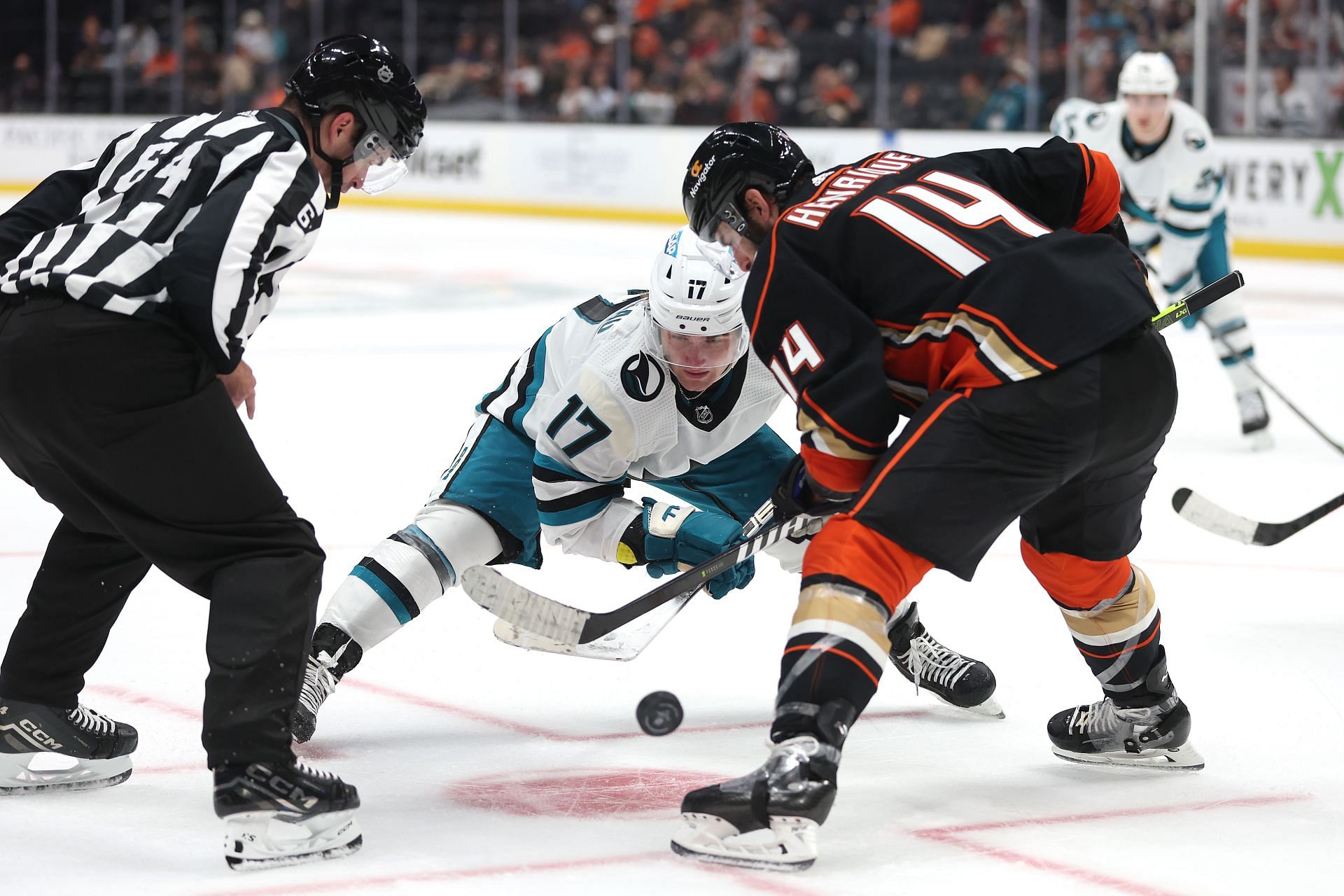 San Jose Sharks: San Jose Sharks Vs Anaheim Ducks: Live Streaming ...