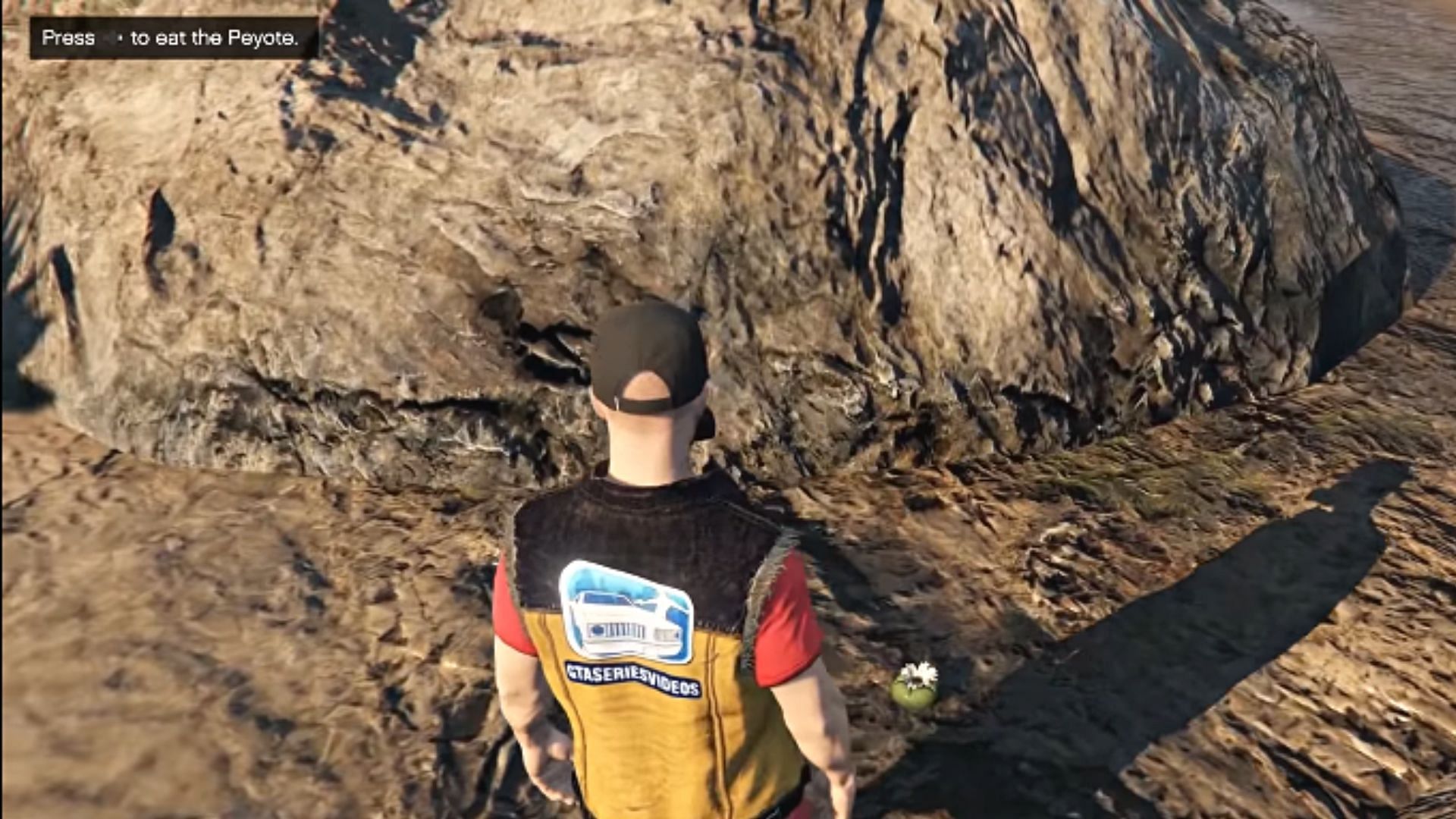 This is what a Peyote Plant looks like in the game (Image via YouTube/GTA Series Videos)