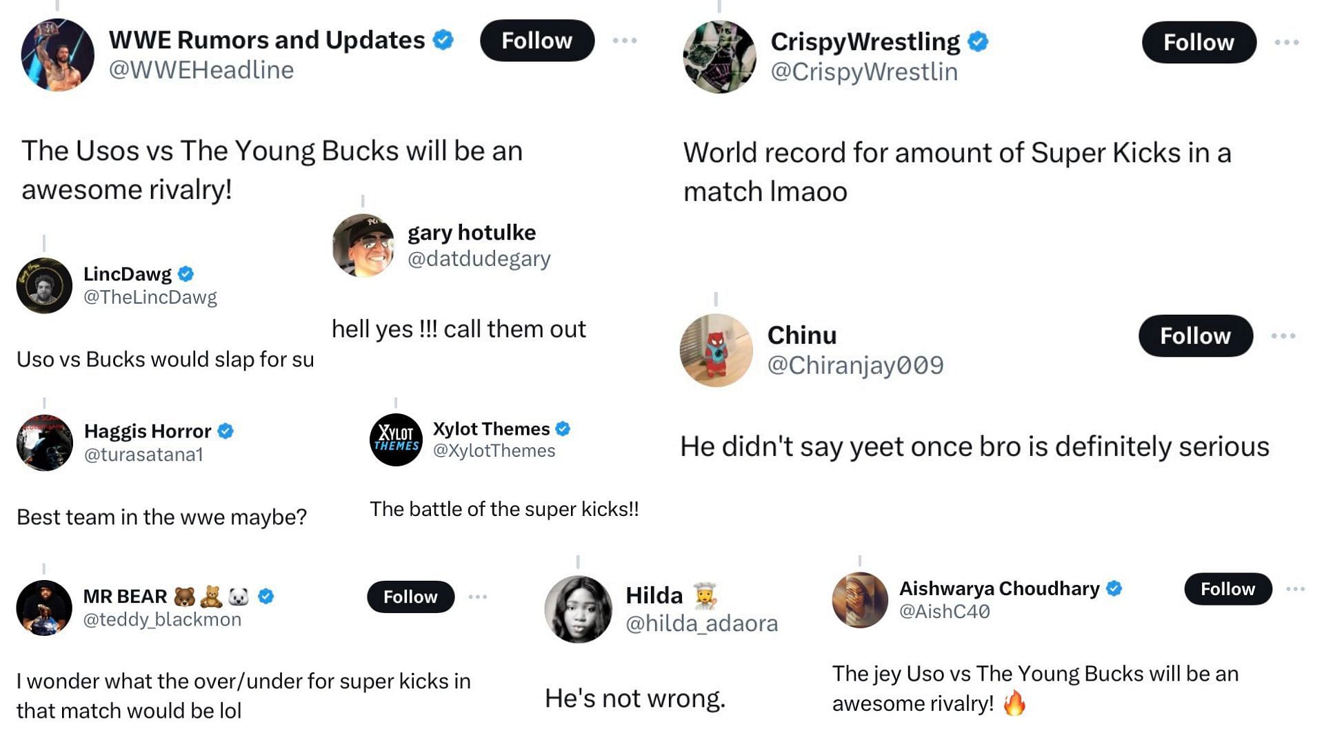 Fans seem to want The Usos vs. The Young Bucks