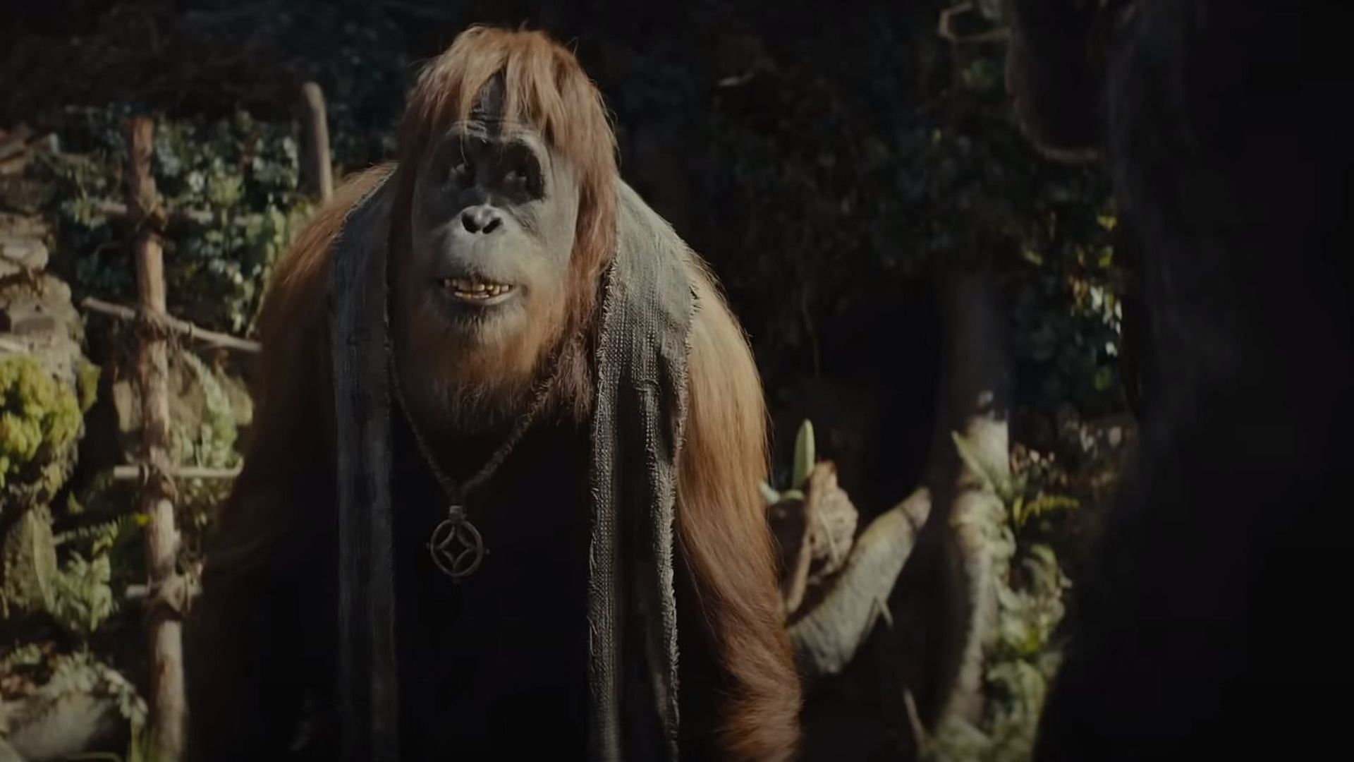 A still from Kingdom of the Planet of Apes. (Image: 20th Century Studios)