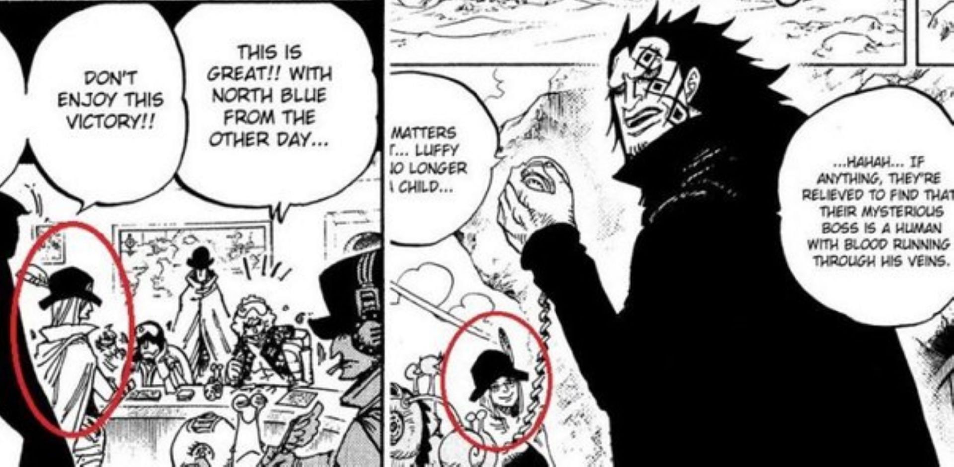 ODA JUST REVEALED LUFFY'S MOTHER!! One Piece 1095 