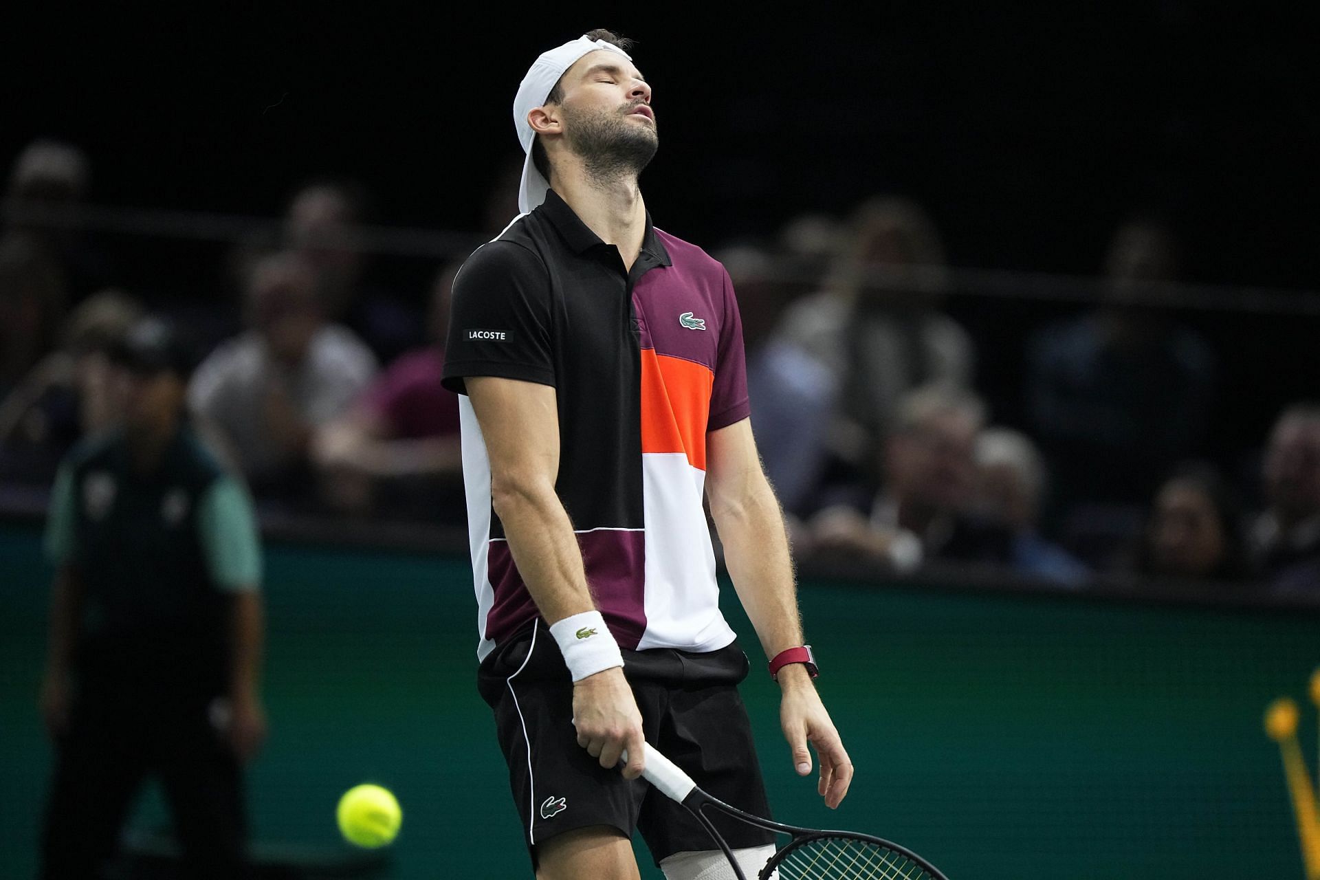 Grigor Dimitorv falls to Novak Djokovic at Paris Masters finals 2023