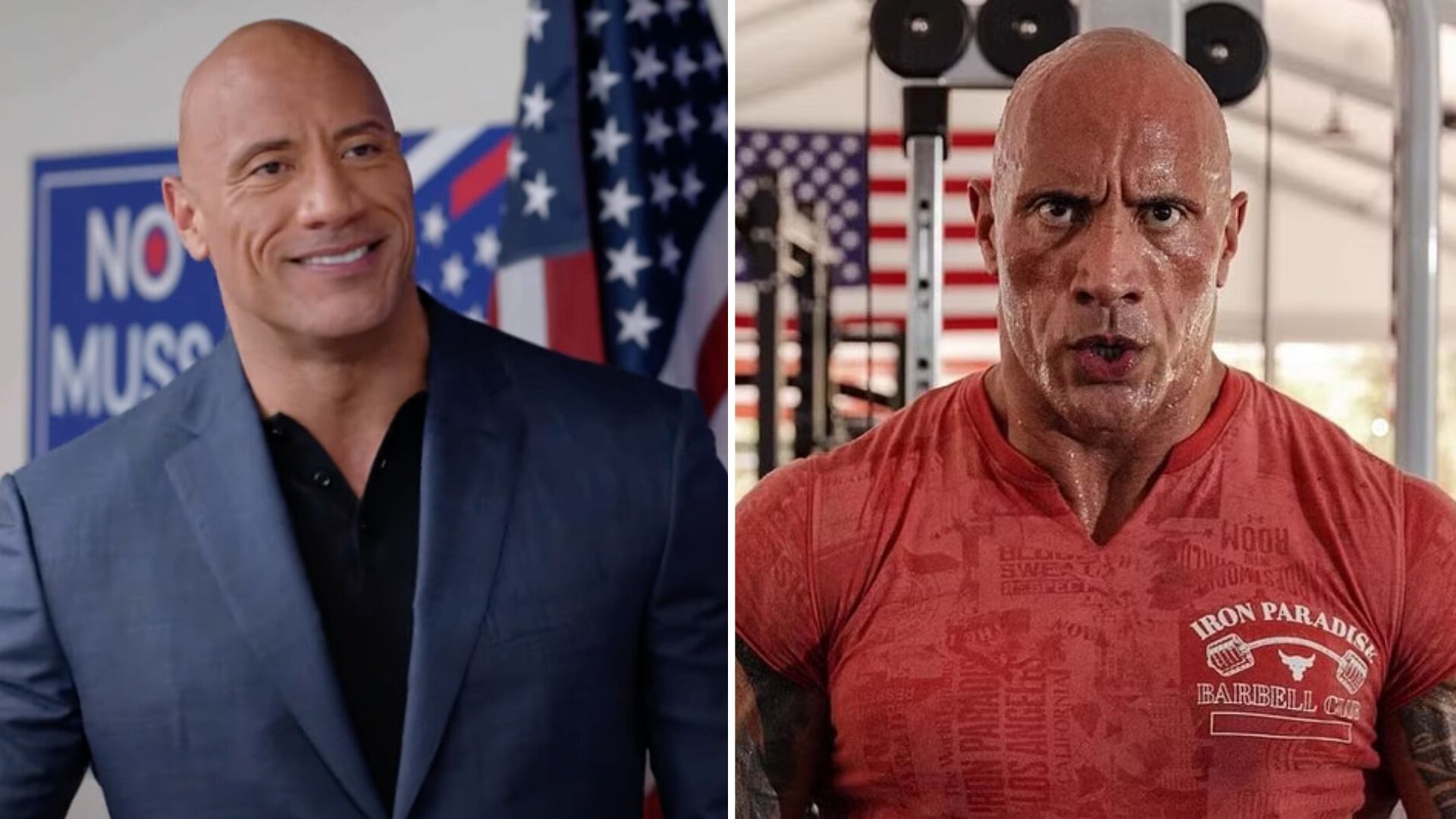 The Rock is a former WWE Champion