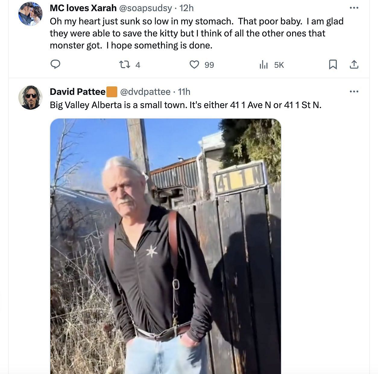 A video of a man, Robert Cartier, allegedly trying to drown a cat in a bucket of water sparks outrage on social media: Reactions and details explored. (Image via Twitter)