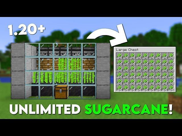 10 Best Minecraft Farms To Build In A New World (2023)