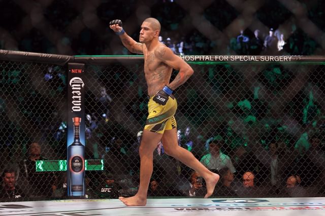 Alex Pereira Net Worth 2024, Salary & Endorsements