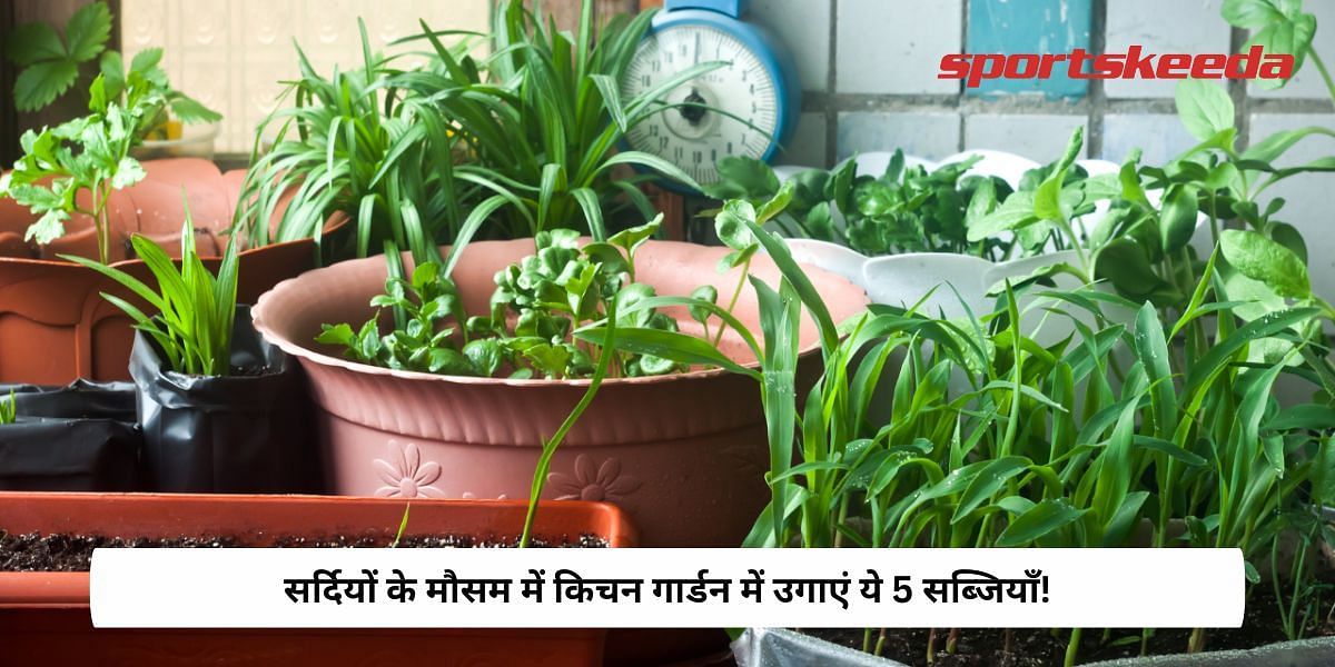 Top 5 Vegetables To Plant In Kitchen Garden this Winters!