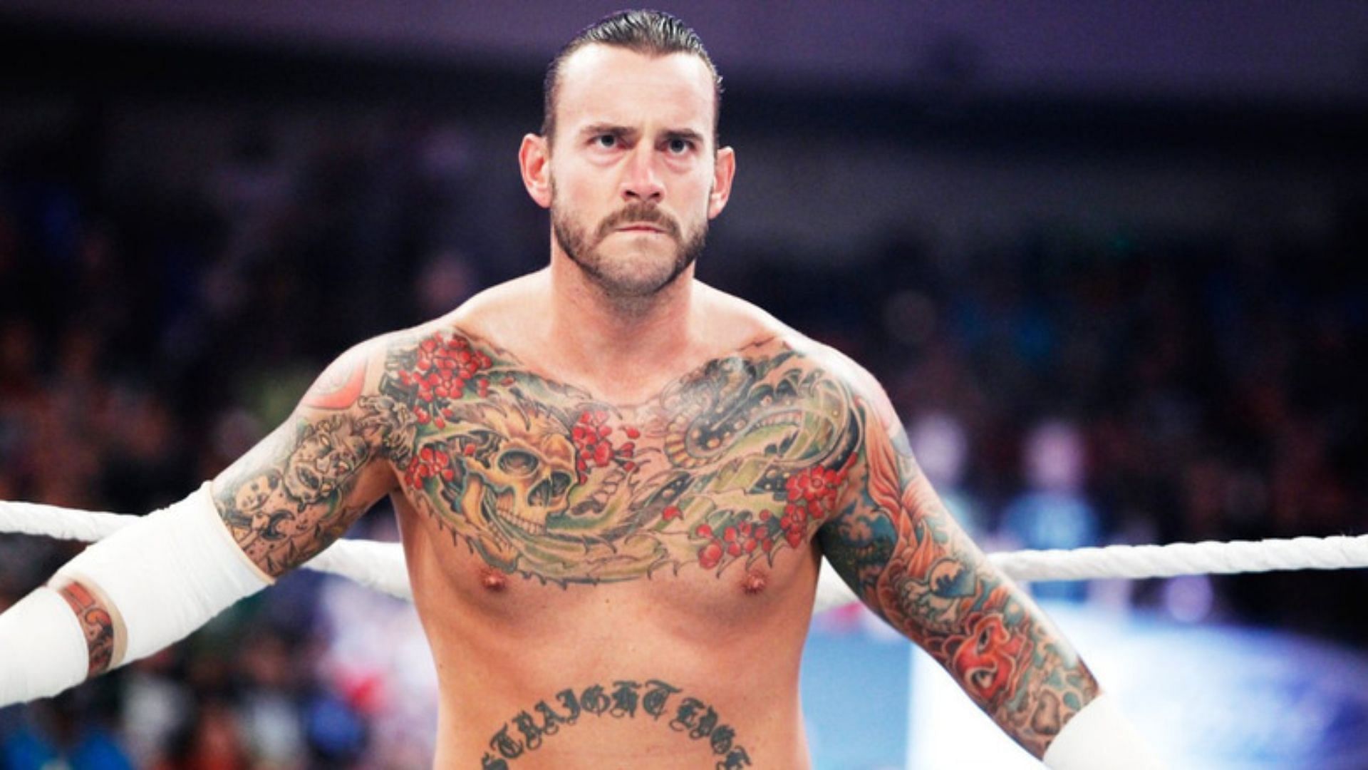 cm punk hype wwe return