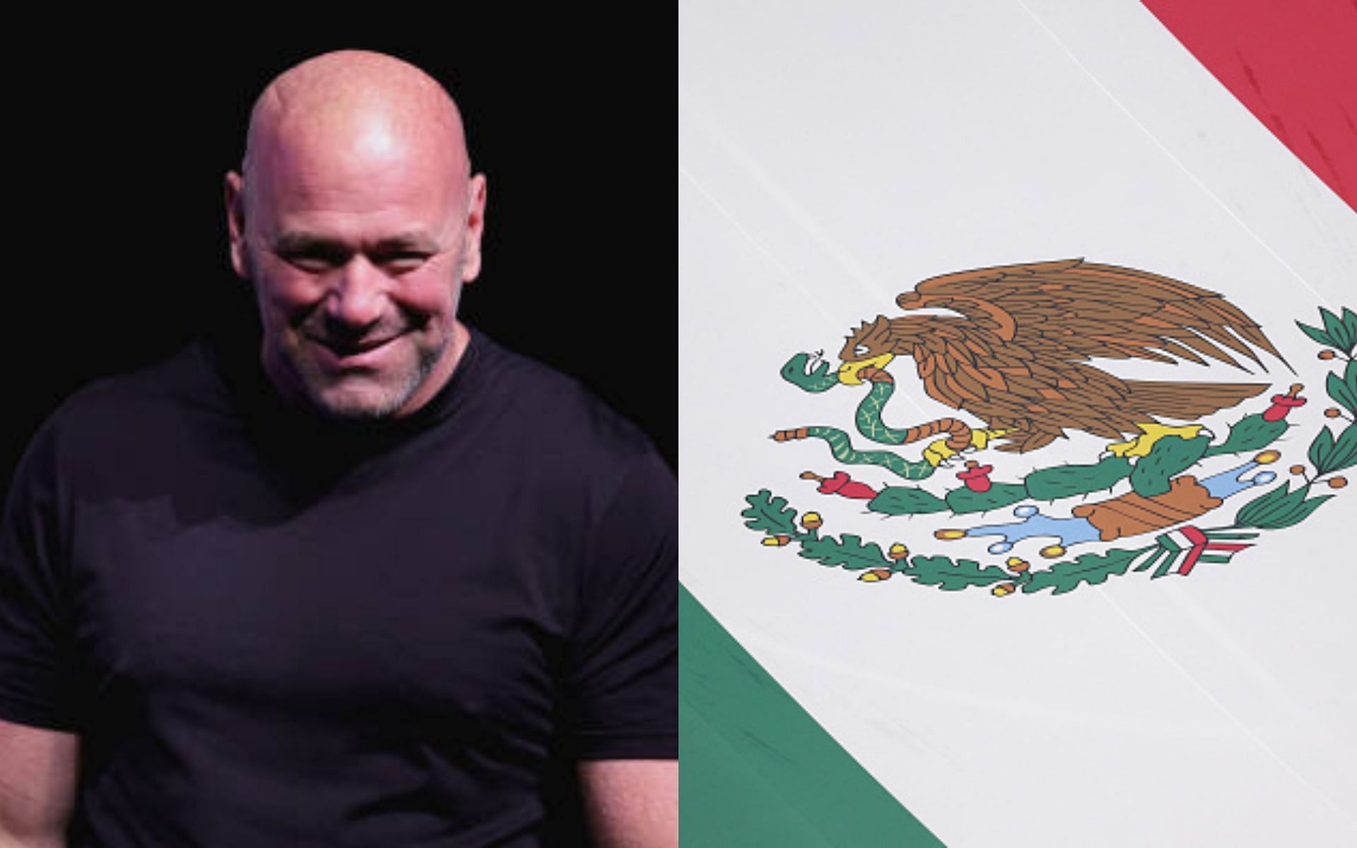 UFC Mexico Date, venue, targeted & confirmed fights, and everything