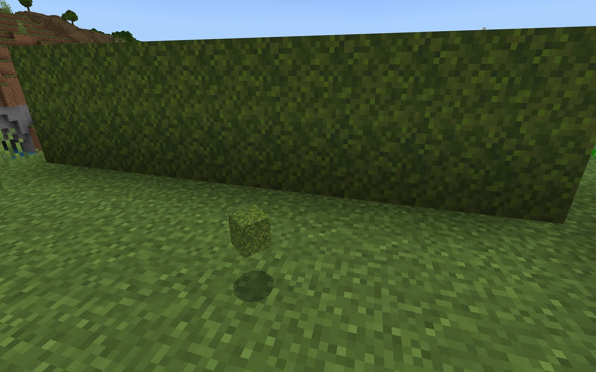 In the Overworld of Minecraft, a block of moss floats in front of a wall of moss.