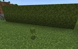 Minecraft moss farm tutorial