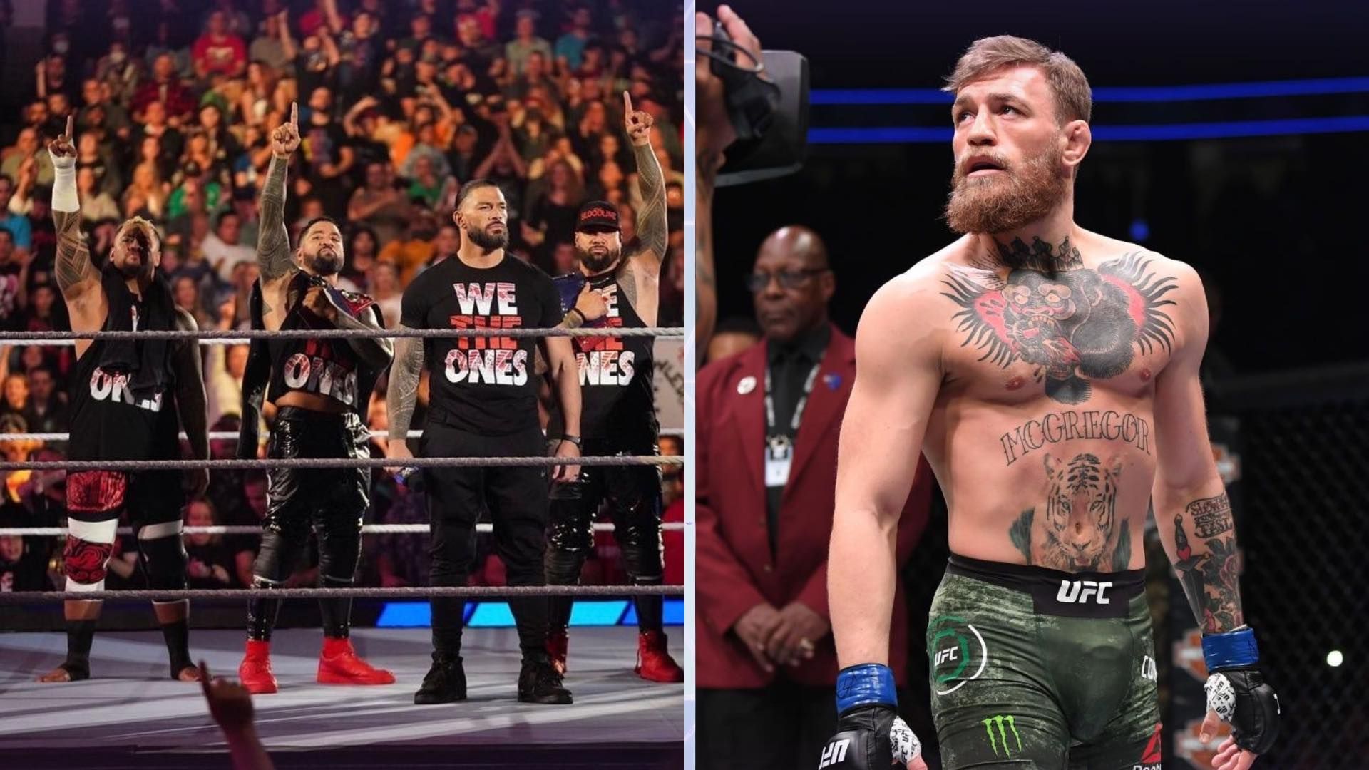 The Bloodline and Conor McGregor in picture