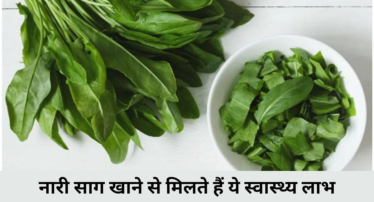 नारी साग खाने से मिलते हैं ये स्वास्थ्य लाभ(फोटो-Sportskeeda hindi)