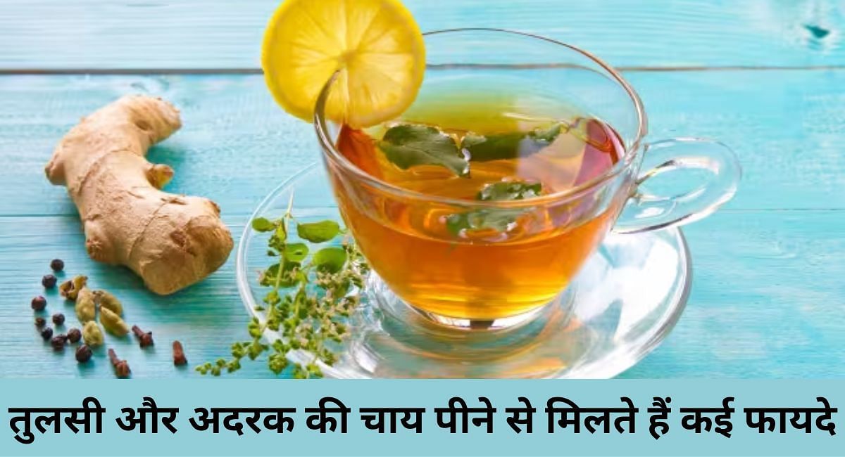 तुलसी और अदरक की चाय पीने से मिलते हैं कई फायदे(फोटो-Sportskeeda hindi)