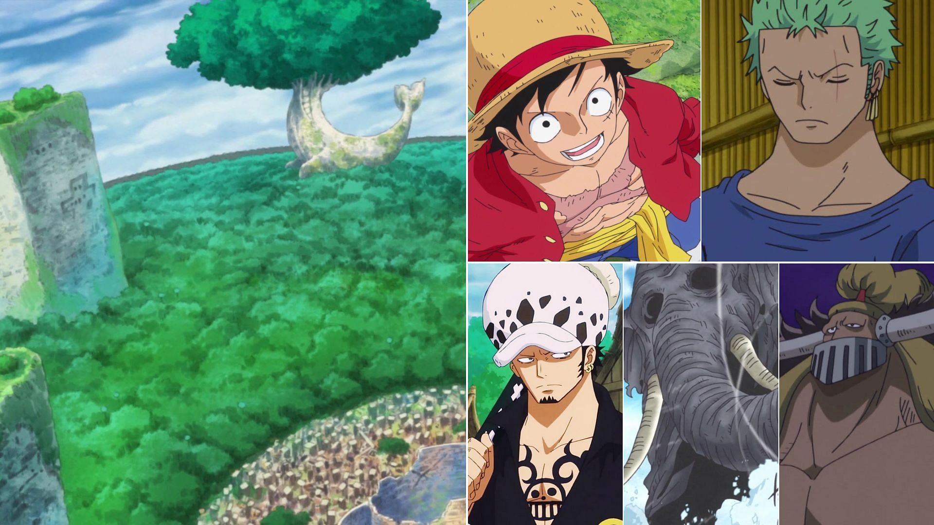 The five strongest One Piece characters in Zou Arc (Image via Toei Animation, One Piece)