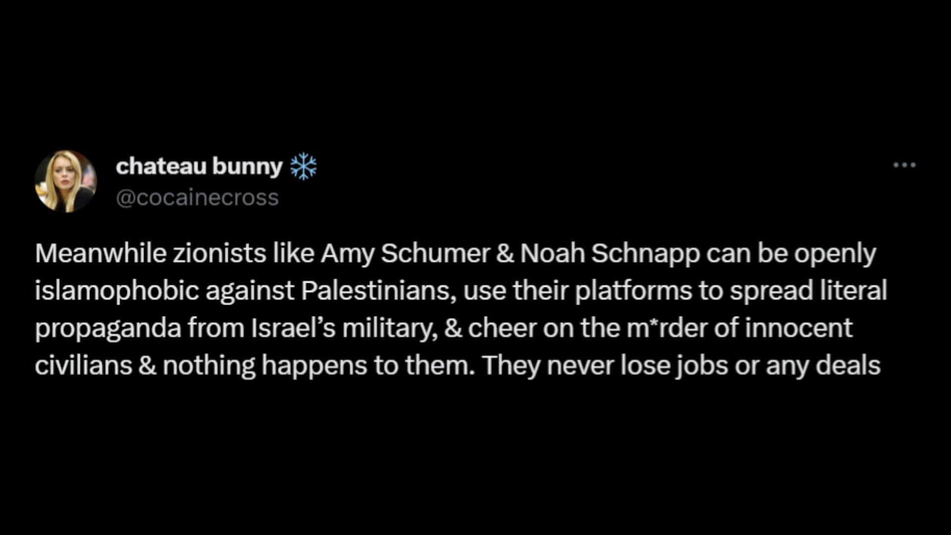 Netizens call out Hollywood for not firing Noah Schnapp or Amy Schumer but dropping Barrera for pro-Palestine posts. (Image via X/@cocainecross)