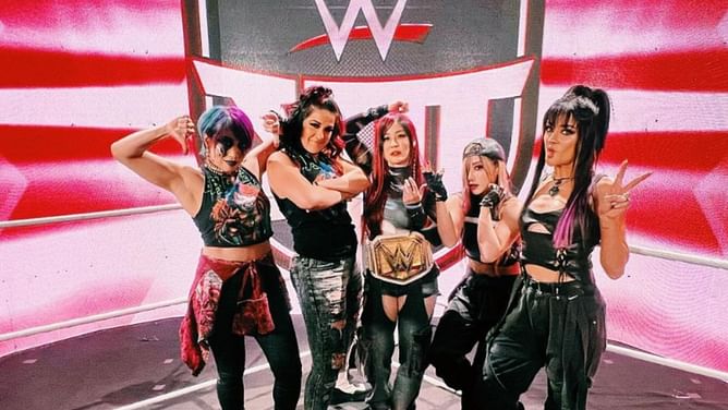 "क्या मैं व्हीलचेयर पर बैठी रहूं" - चोटिल WWE Superstar ने सोशल मीडिया पर फैन को सिखाया कड़ा सबक