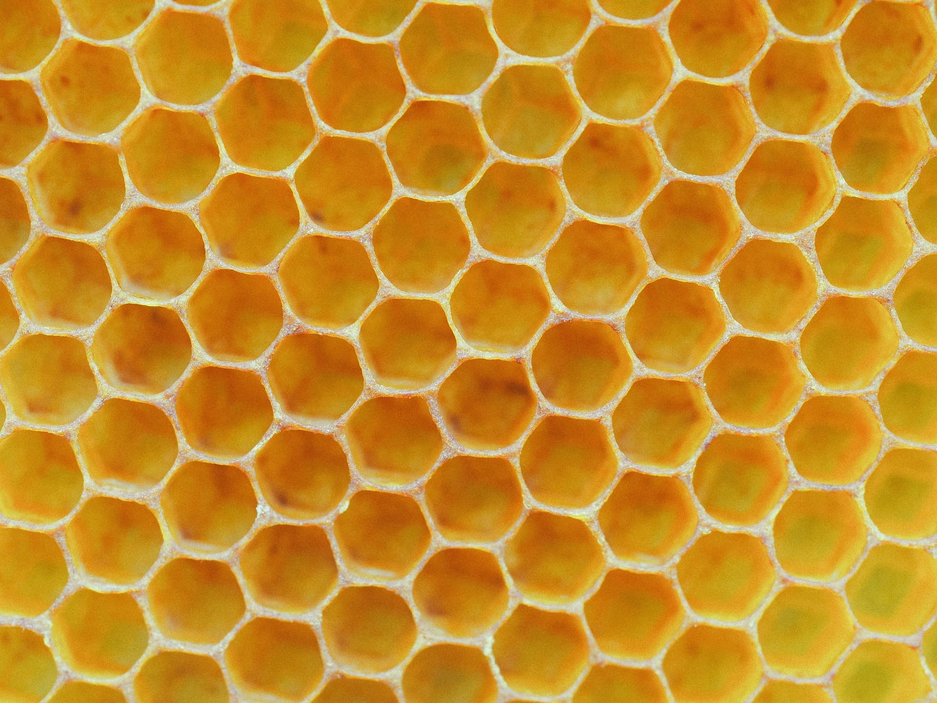 Heating honey (Image via Unsplash/Ante)