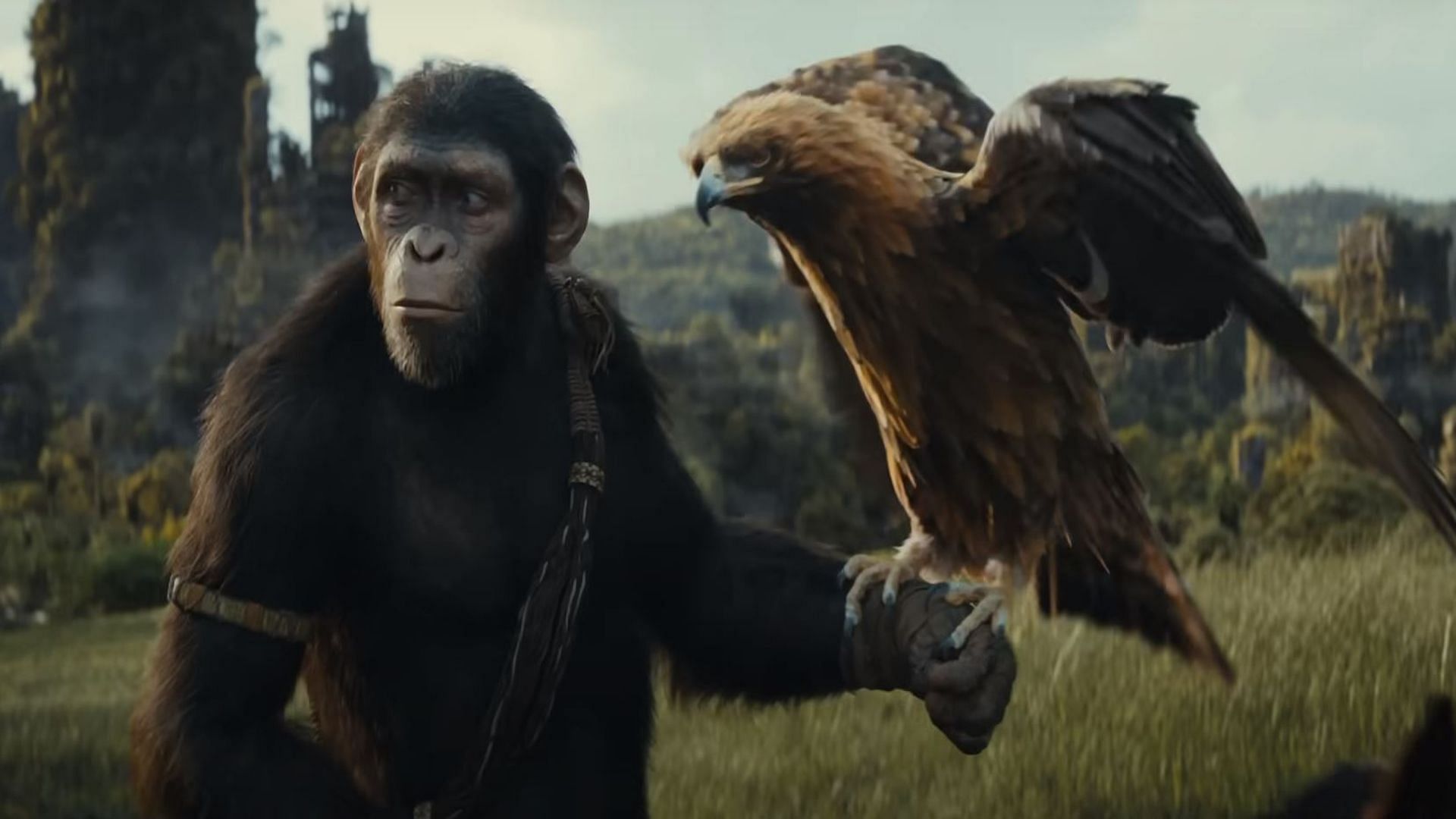 A still from Kingdom of the Planet of the Apes. (Image via 20th Century Studios)