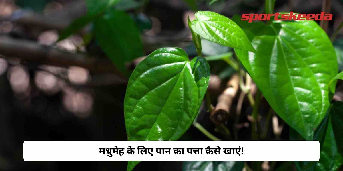 How To Eat Betel Leaf For Diabetes!