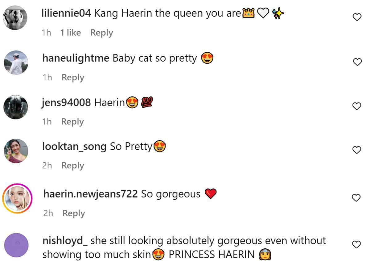 Fan comments (Image via @ellehongkong/Instagram)