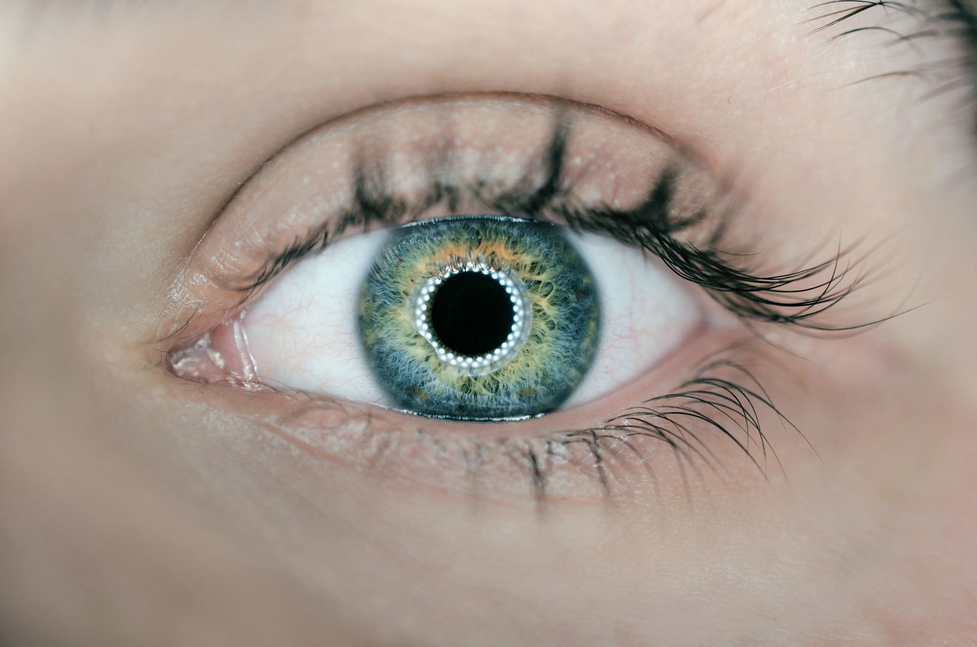 Lutein for eyes (Image via Unsplash)