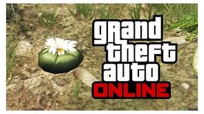 Where to find all GTA Online Peyote Plants' map locations (November 2023)