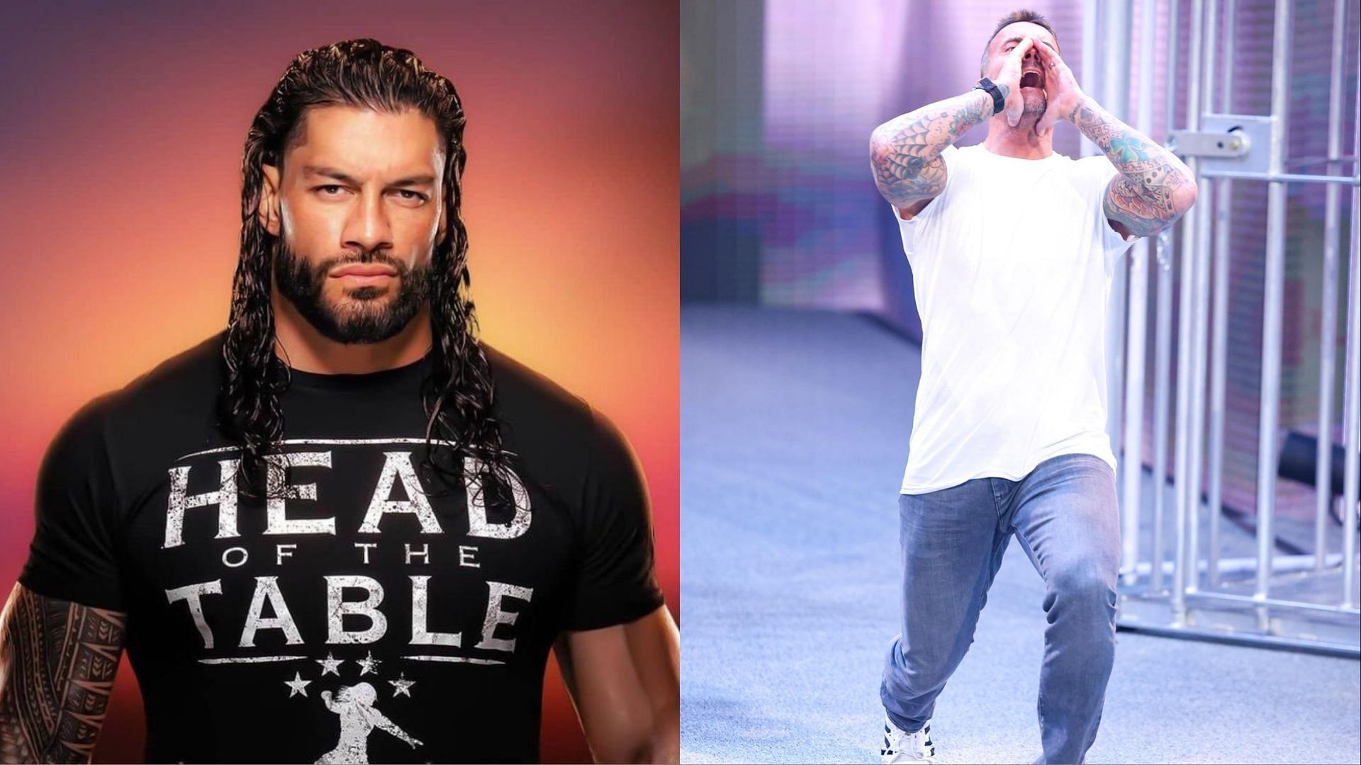 Roman Reigns (left); CM Punk (right)