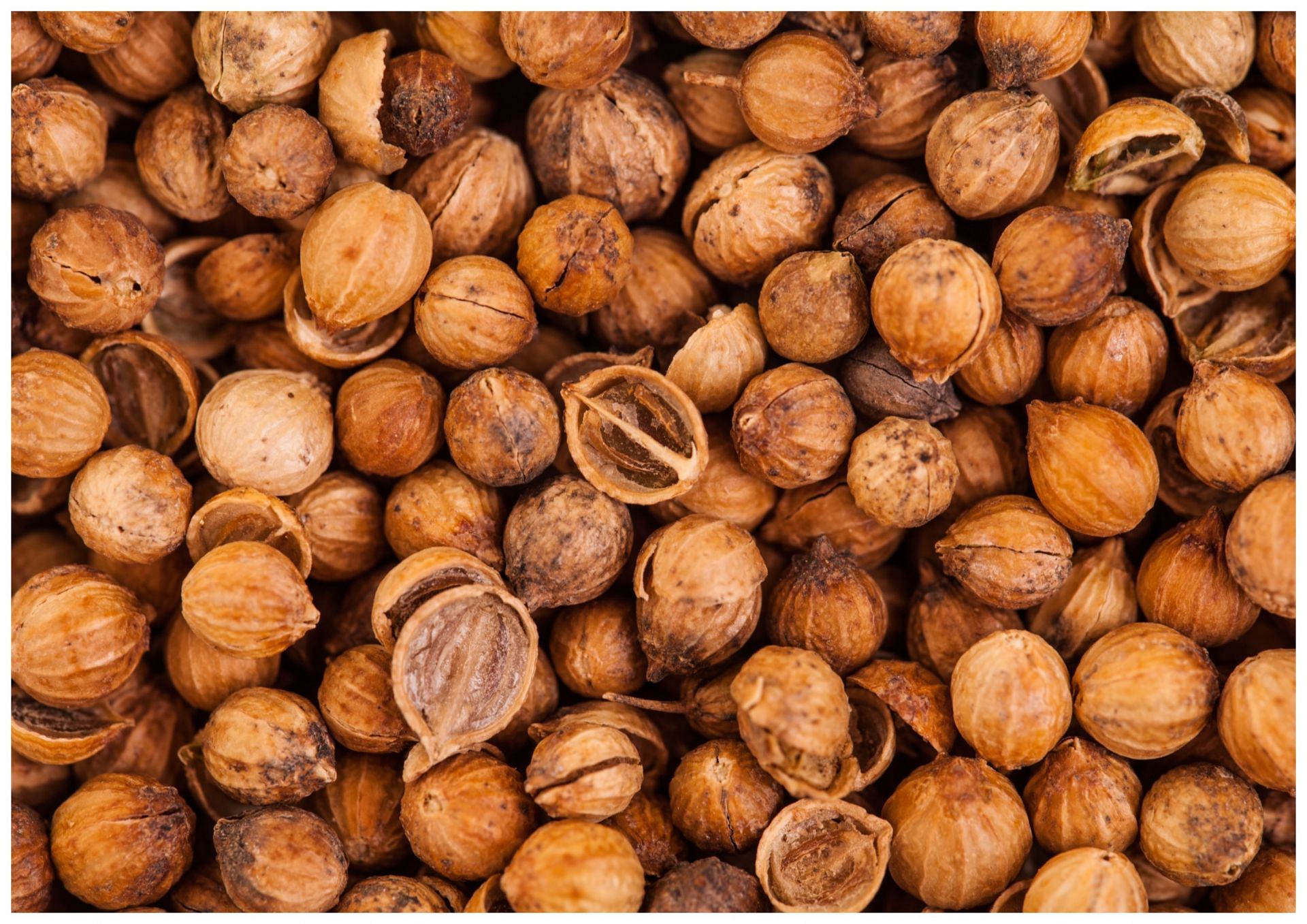 Using a bit of nutmeg can help with several brain disorder (Image via Vecteezy)