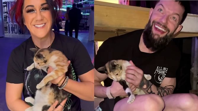 [Watch] Bayley, Finn Balor, and more WWE stars interact with stray cat backstage at Crown Jewel