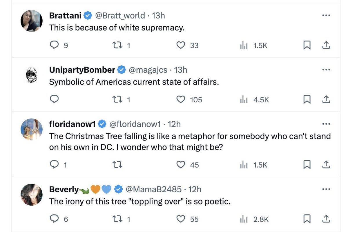 "Just like Joe" National Christmas tree outside White House gets