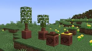 When is the Minecraft 1.20.3 update expected to be released?